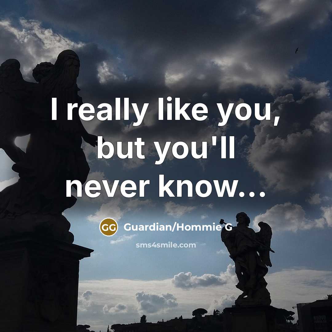 “I really like you, but you'll never know...…” quote by Guardian/Hommie G