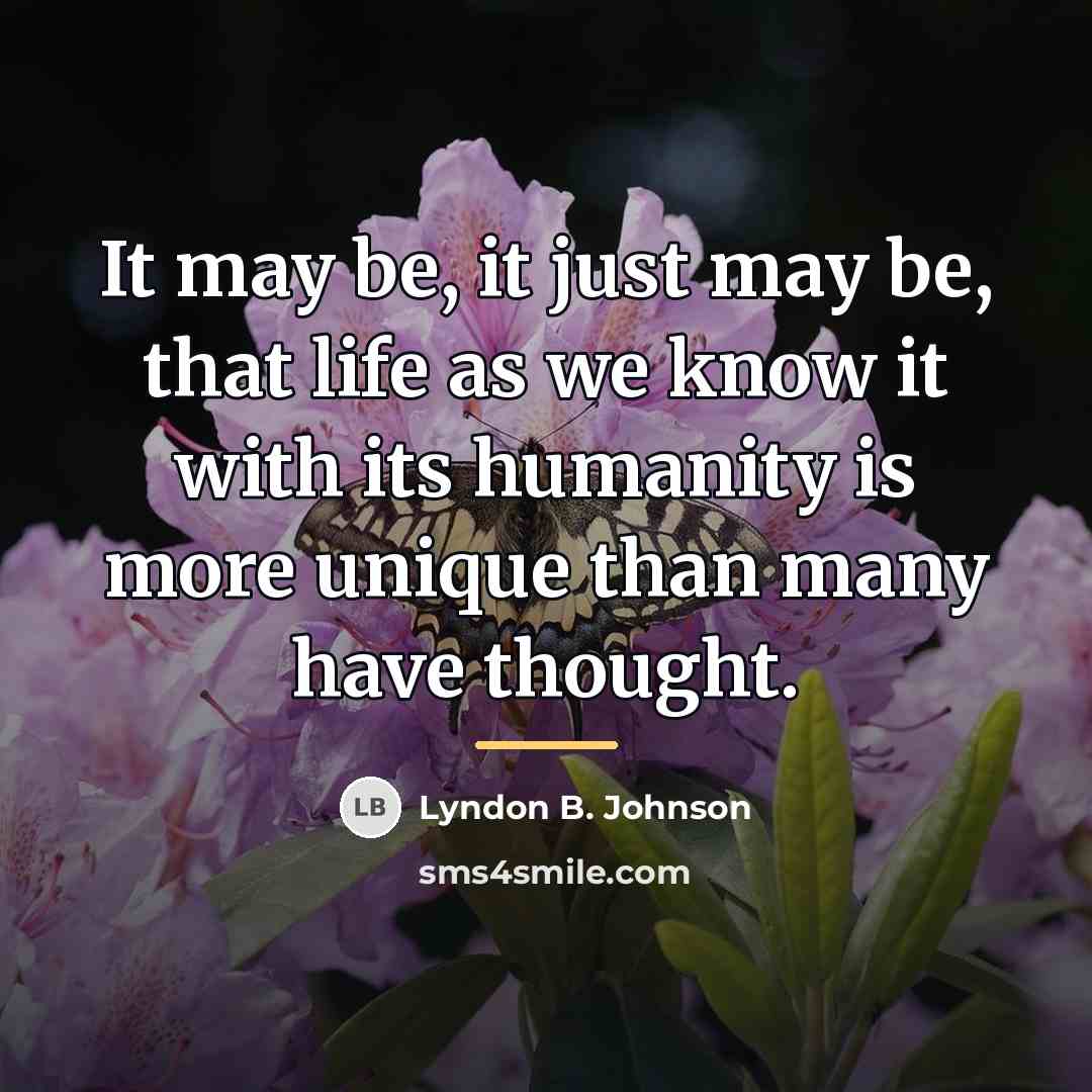 “It may be, it just may be, that life as…” quote by Lyndon B. Johnson