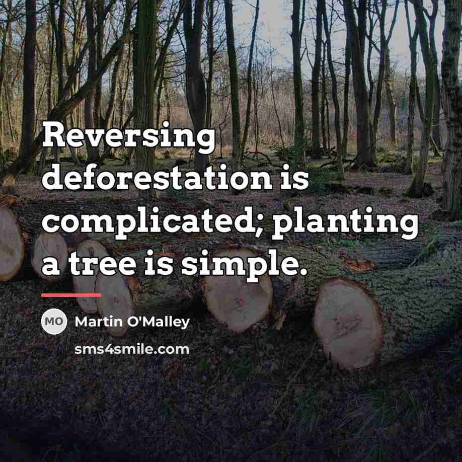 “Reversing deforestation is complicated; planting a tree is simple.…” quote by Martin O'Malley