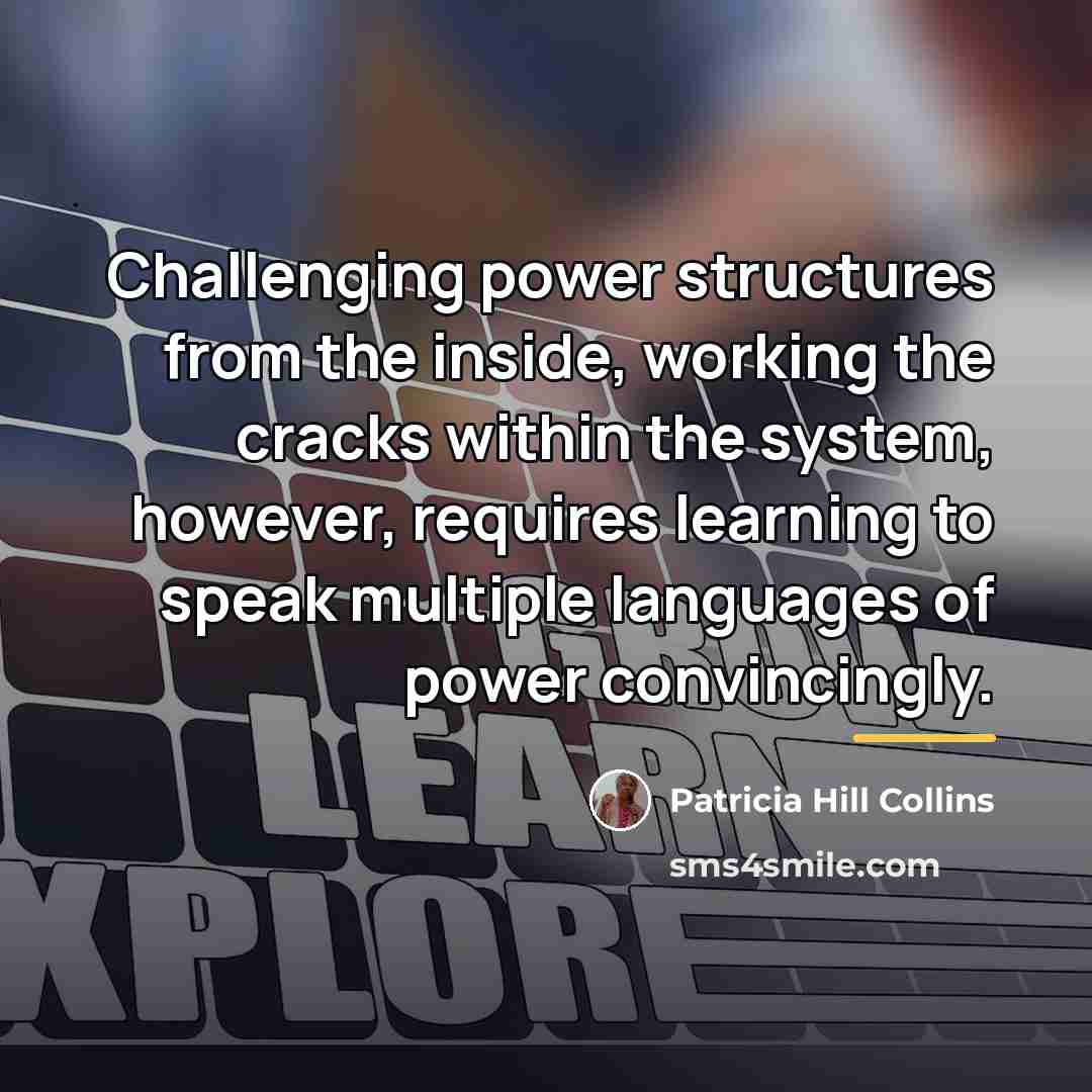 “Challenging power structures from the inside, working the cracks within…” quote by Patricia Hill Collins
