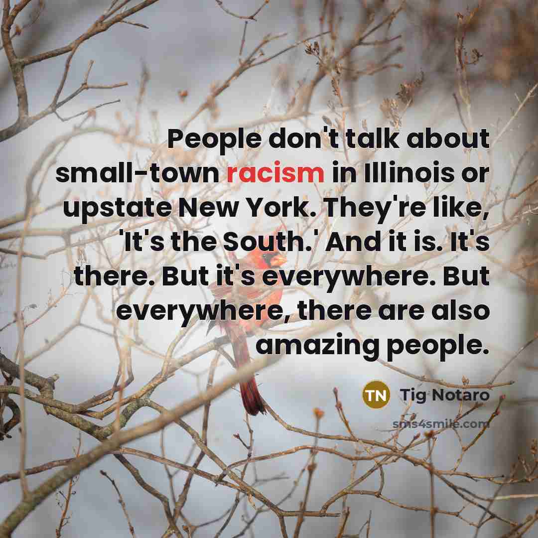 “People don't talk about small-town racism in Illinois or upstate…” quote by Tig Notaro