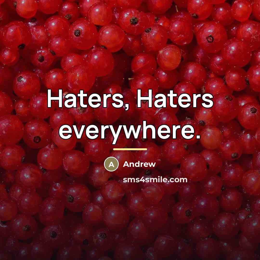 “Haters, Haters everywhere.…” quote by Andrew