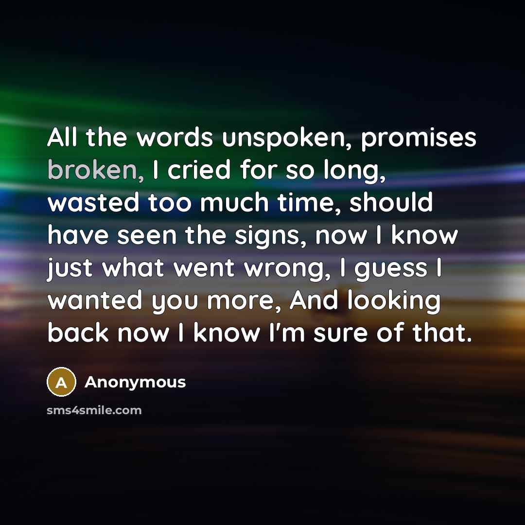 “All the words unspoken, promises broken, I cried for so…” quote by Anonymous