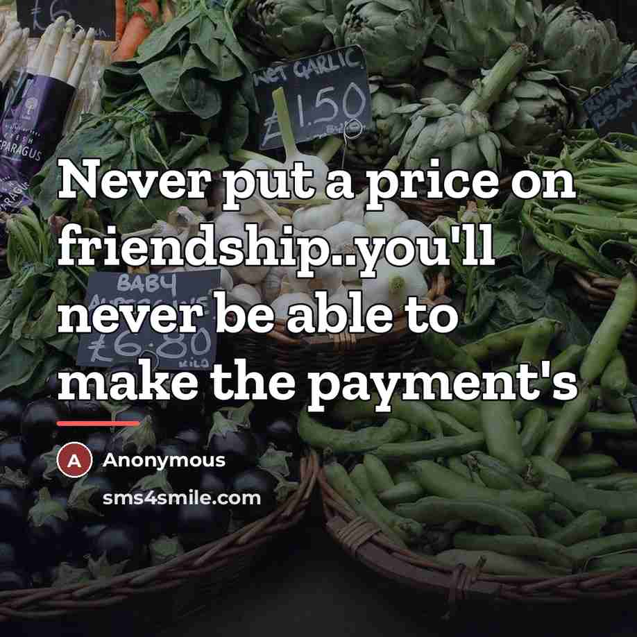 “Never put a price on friendship..you'll never be able to…” quote by Russell Fries