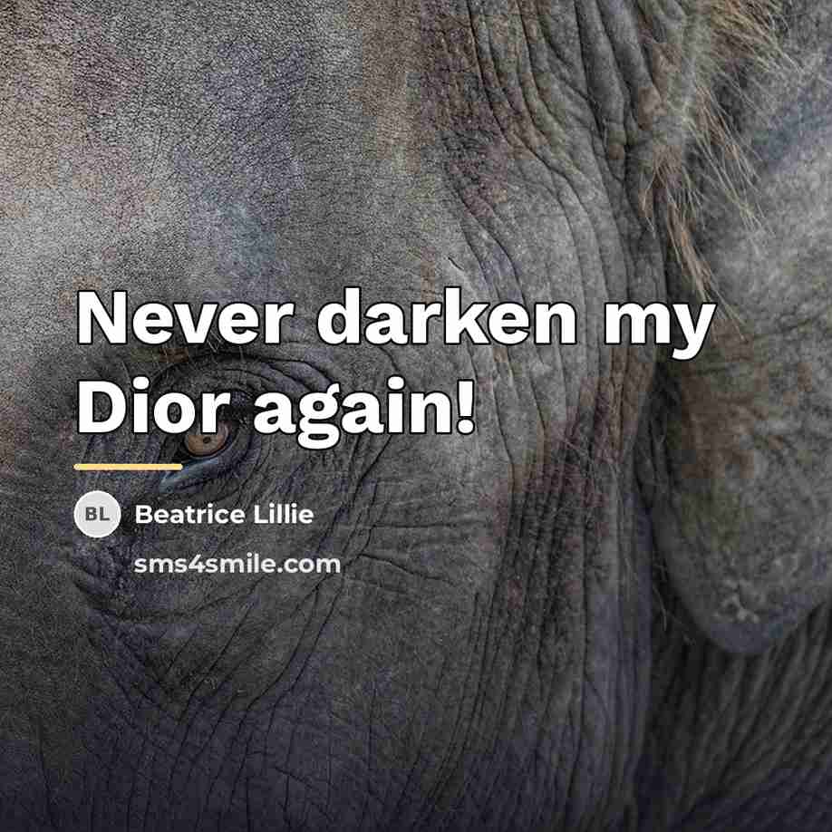 “Never darken my Dior again!…” quote by Beatrice Lillie