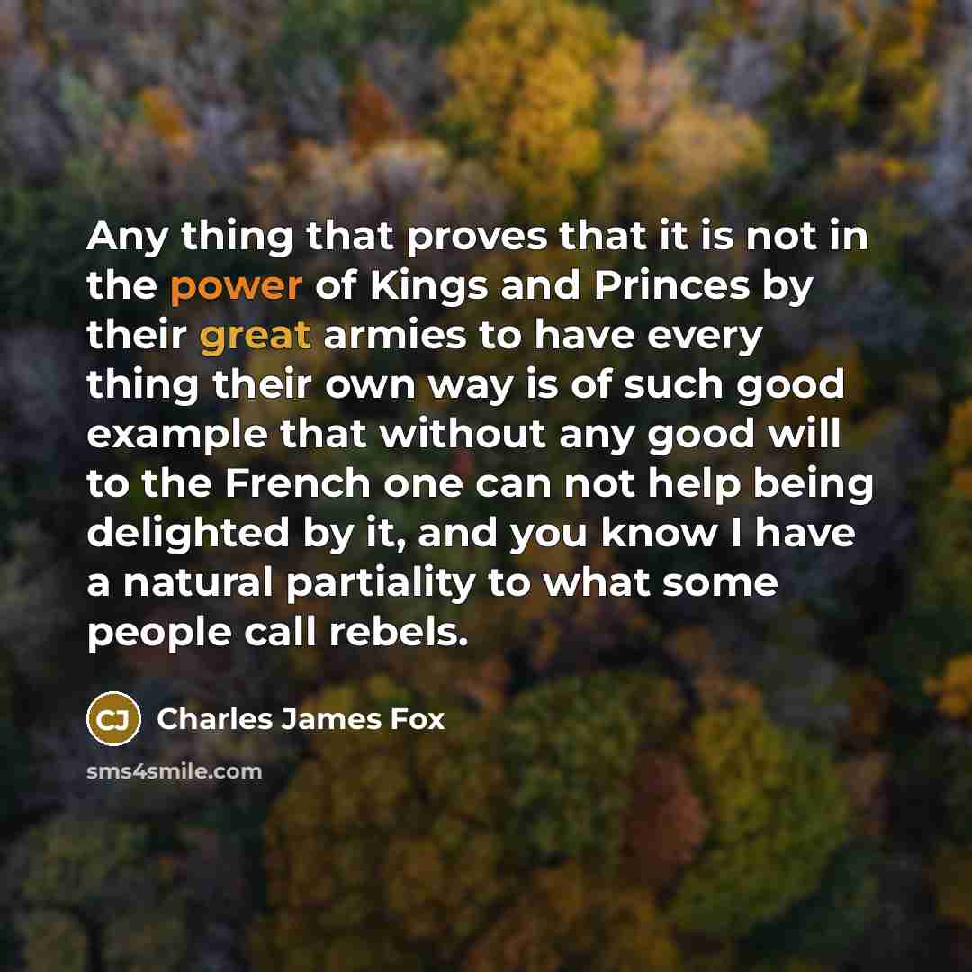 “Any thing that proves that it is not in the…” quote by Charles James Fox