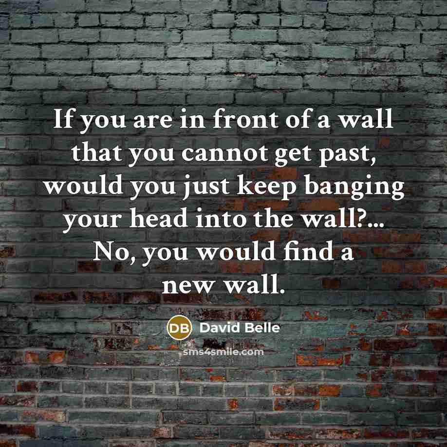 “If you are in front of a wall that you…” quote by David Belle