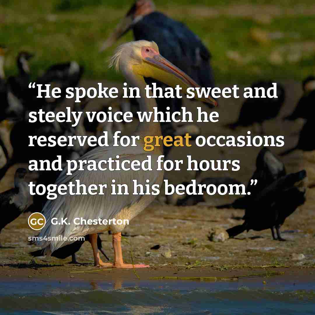 “He spoke in that sweet and steely voice which he reserved for great occasions and practiced for hours together in his bedroom.” quote by G.K. Chesterton