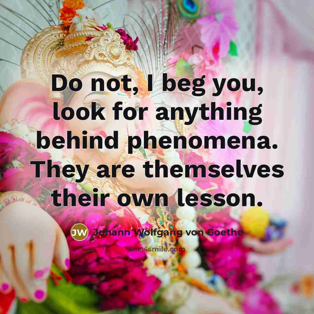“Do not, I beg you, look for anything behind phenomena.…” quote by Johann Wolfgang von Goethe
