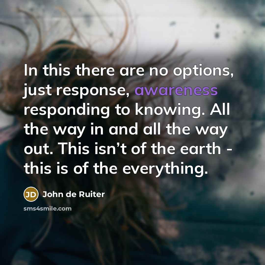 “In this there are no options, just response, awareness responding…” quote by John de Ruiter
