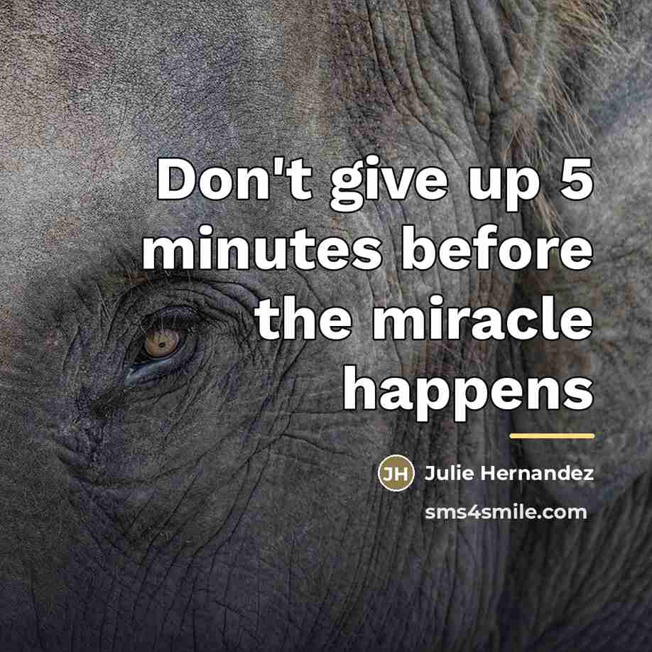 “Don't give up 5 minutes before the miracle happens…” quote by Julie Hernandez