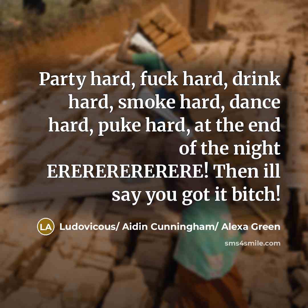 “Party hard, fuck hard, drink hard, smoke hard, dance hard,…” quote by Ludovicous/ Aidin Cunningham/ Alexa Green