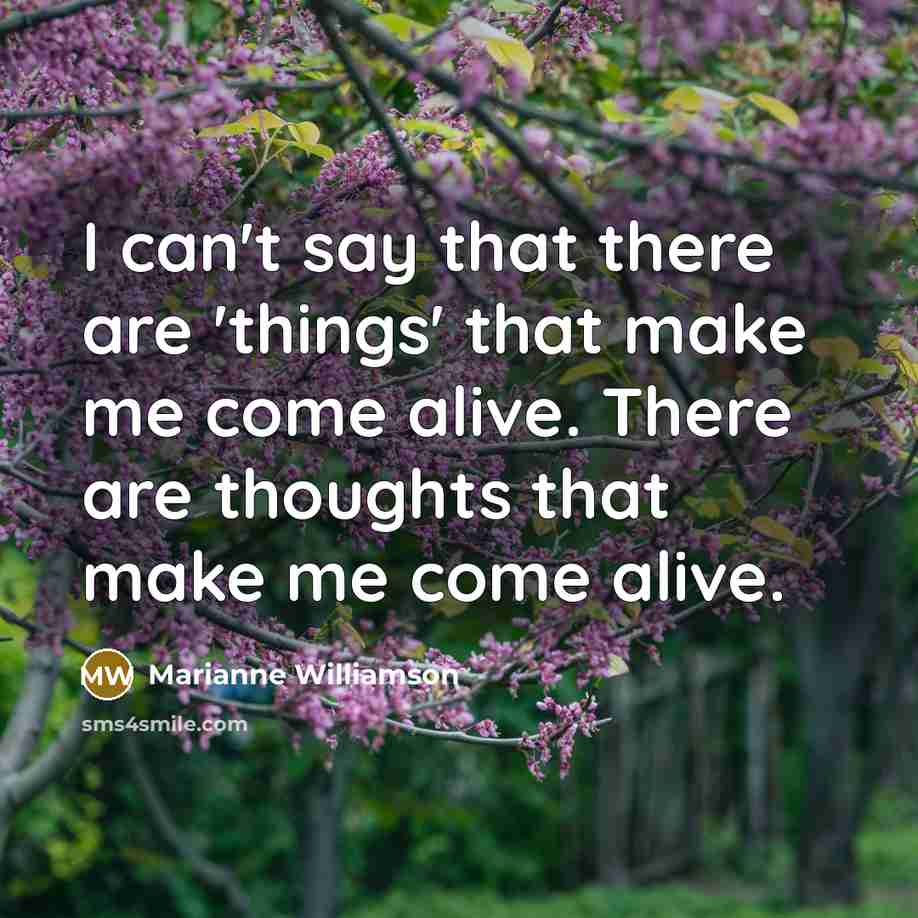“I can't say that there are 'things' that make me…” quote by Marianne Williamson