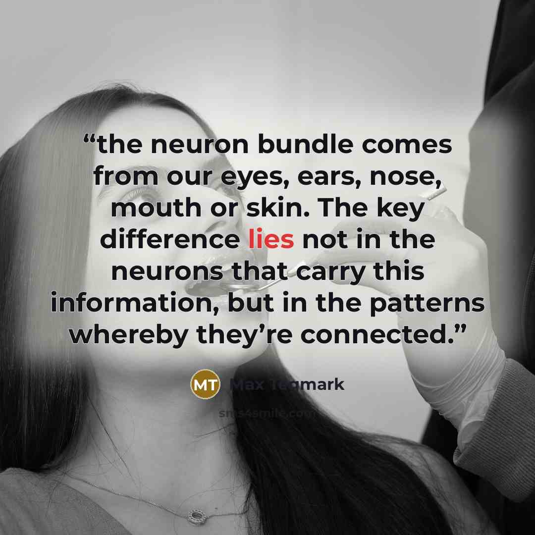“the neuron bundle comes from our eyes, ears, nose, mouth or skin. The key difference lies not in the neurons that carry this information, but in the patterns whereby they’re connected.” quote by Max Tegmark