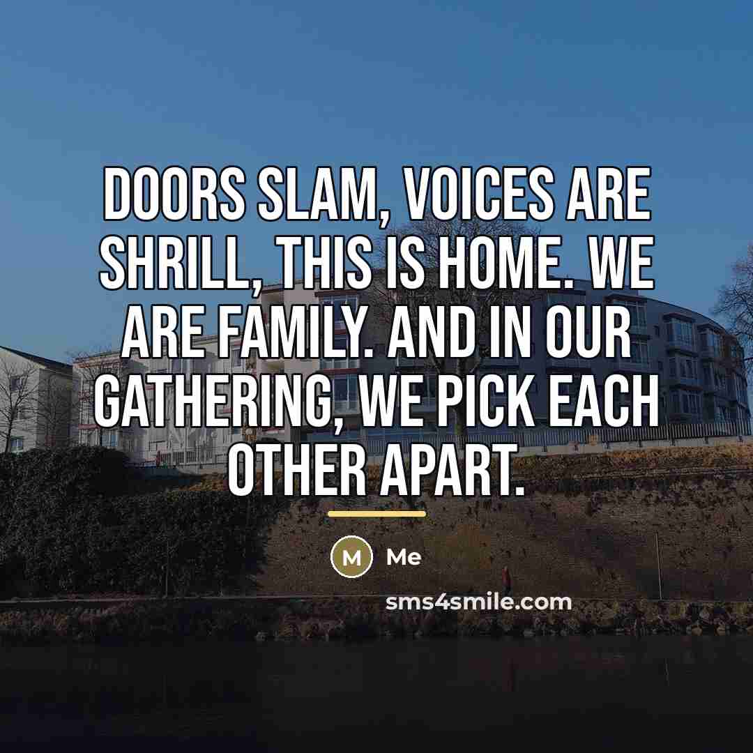 “Doors slam, voices are shrill, this is home. We are…” quote by Me