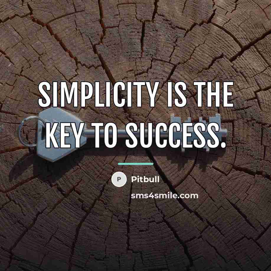 “Simplicity is the key to success.…” quote by Pitbull