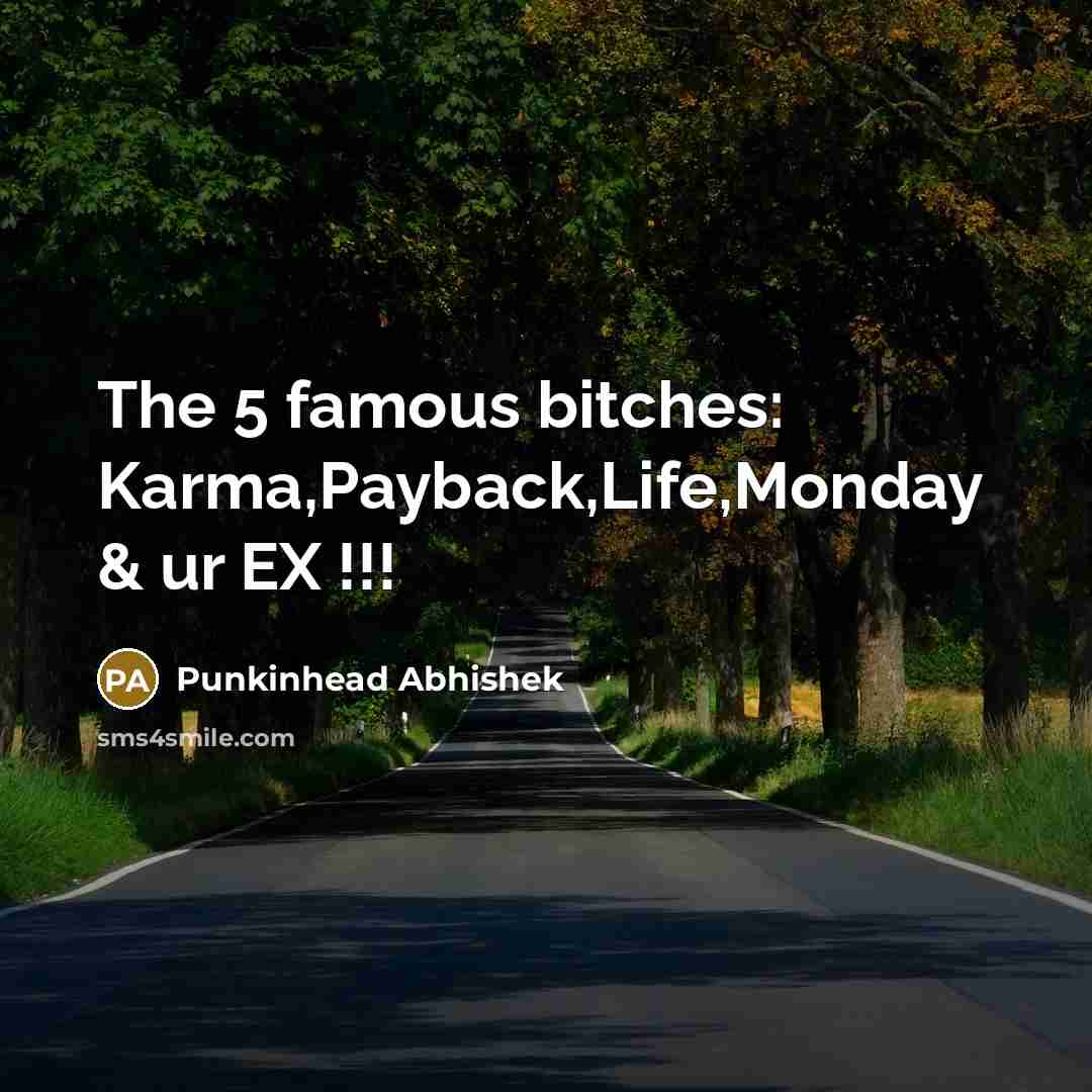 “The 5 famous bitches: Karma,Payback,Life,Monday & ur EX !!!…” quote by Punkinhead Abhishek