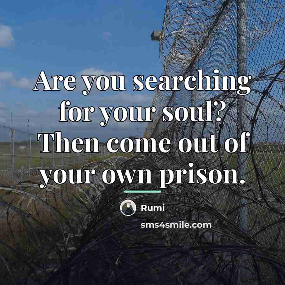 “Are you searching for your soul? Then come out of…” quote by Rumi