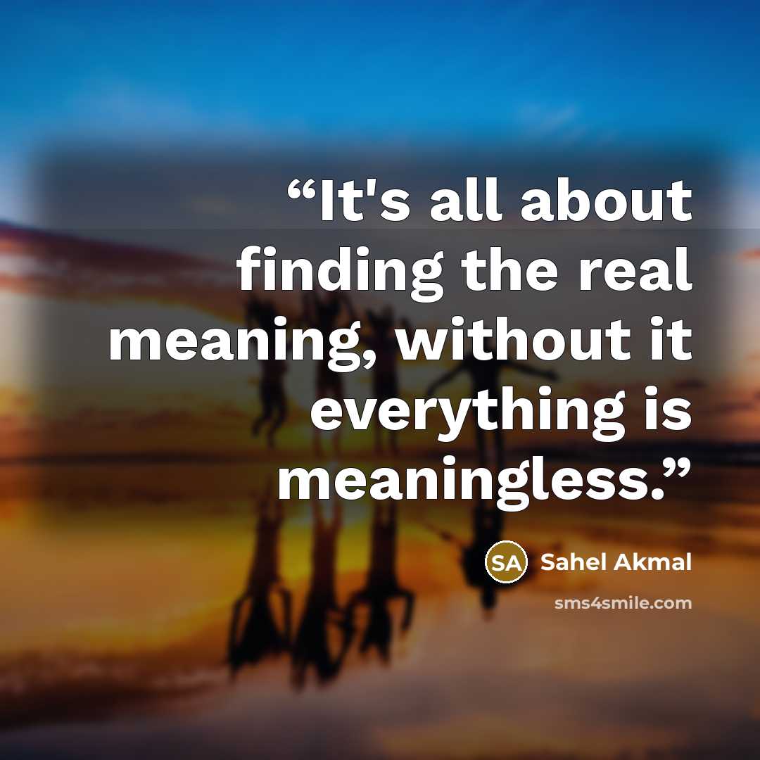 “It's all about finding the real meaning, without it everything is meaningless.” quote by Sahel Akmal