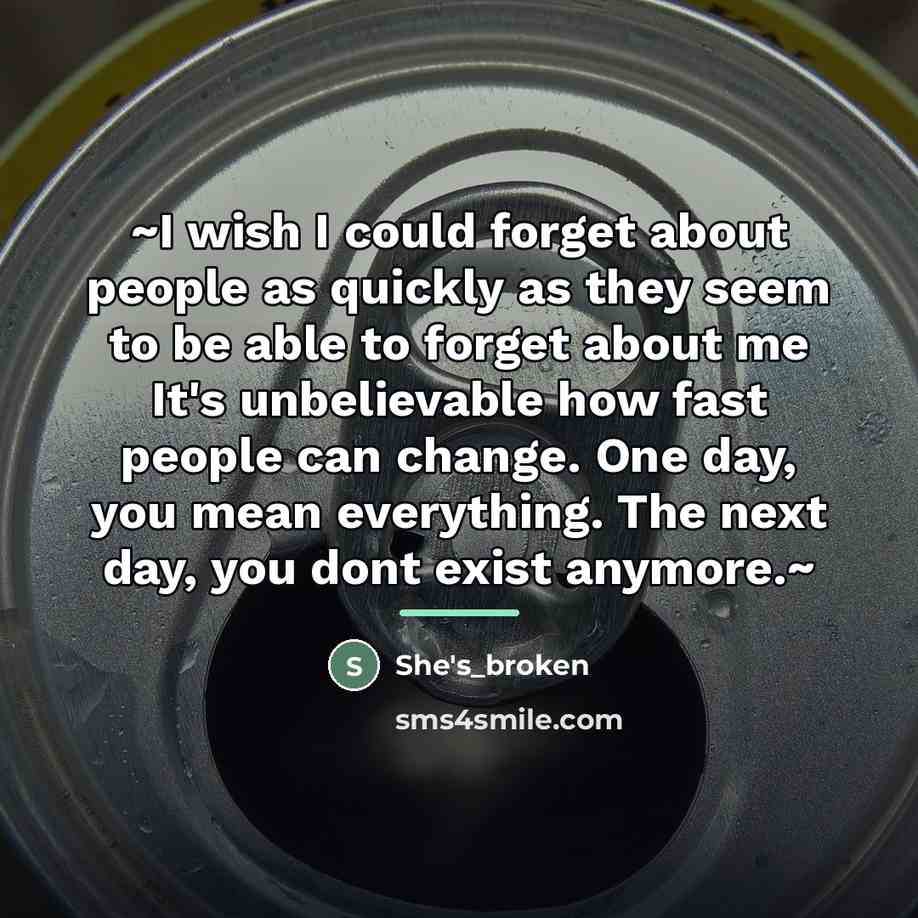 “~I wish I could forget about people as quickly as…” quote by She's_broken