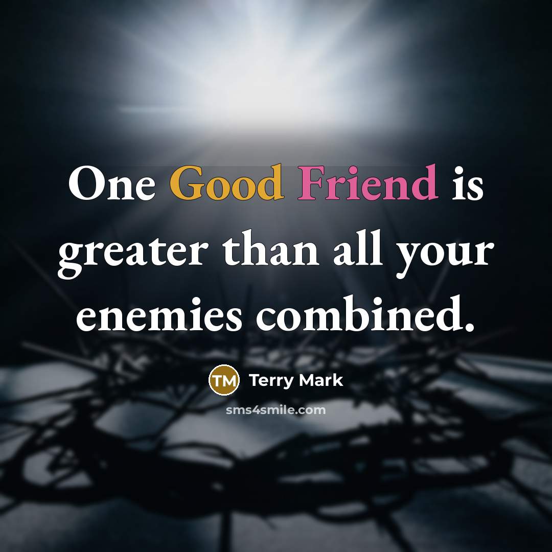 “One Good Friend is greater than all your enemies combined.…” quote by Terry Mark