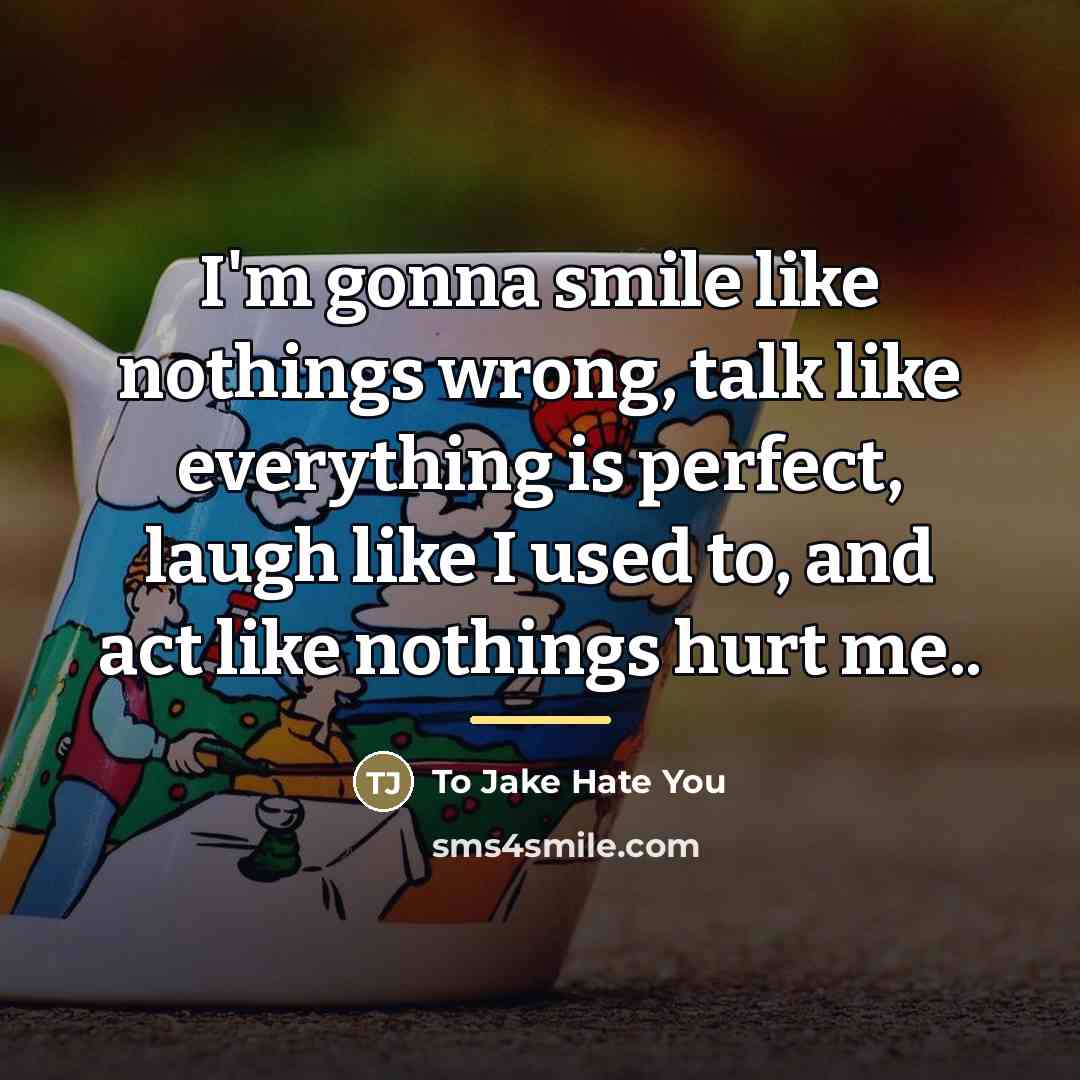 “I'm gonna smile like nothings wrong, talk like everything is…” quote by To Jake Hate You