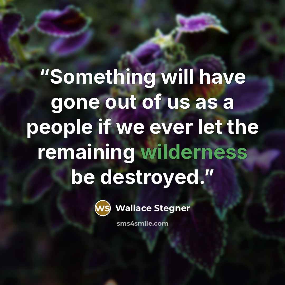 “Something will have gone out of us as a people if we ever let the remaining wilderness be destroyed.” quote by Wallace Stegner
