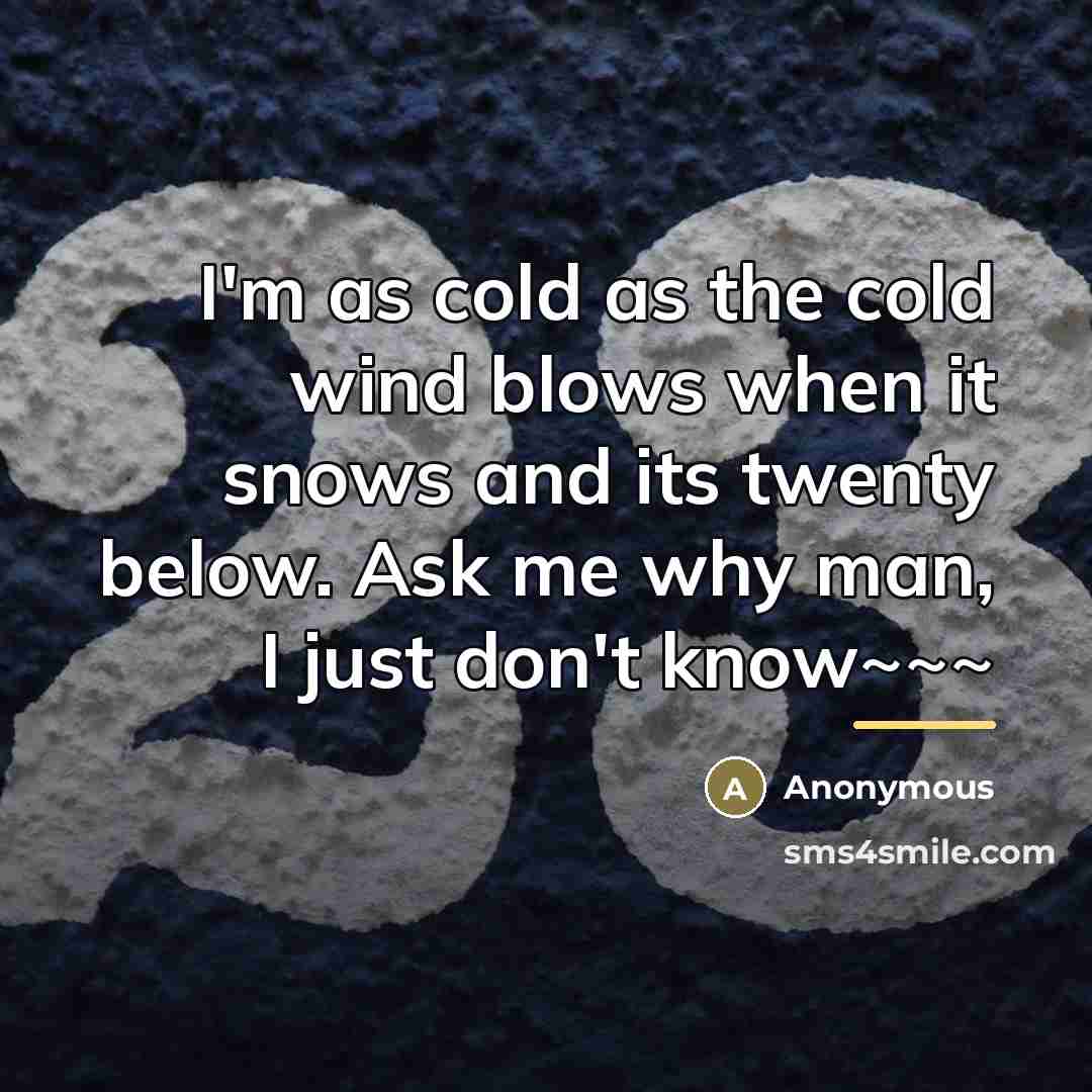 “I'm as cold as the cold wind blows when it…” quote by Anonymous
