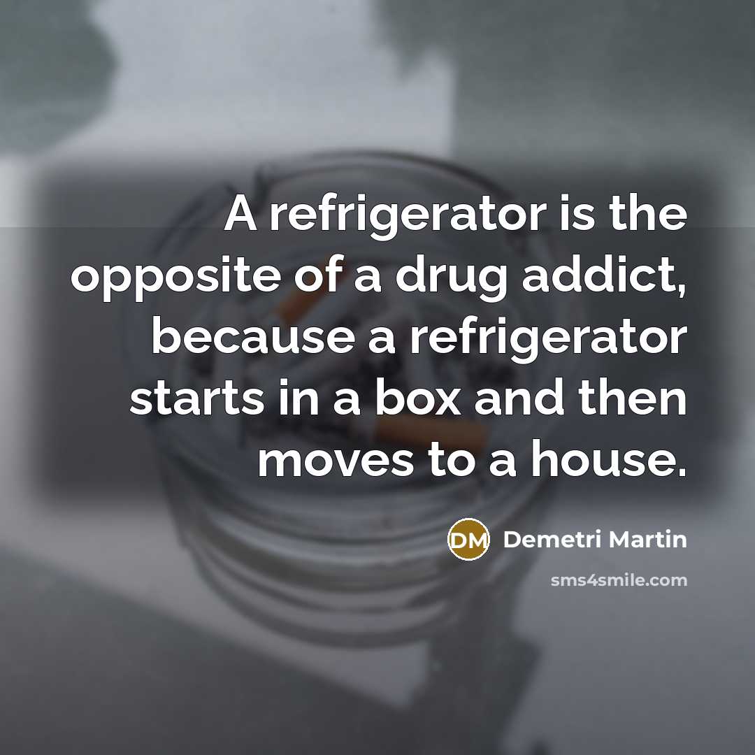 “A refrigerator is the opposite of a drug addict, because…” quote by Demetri Martin