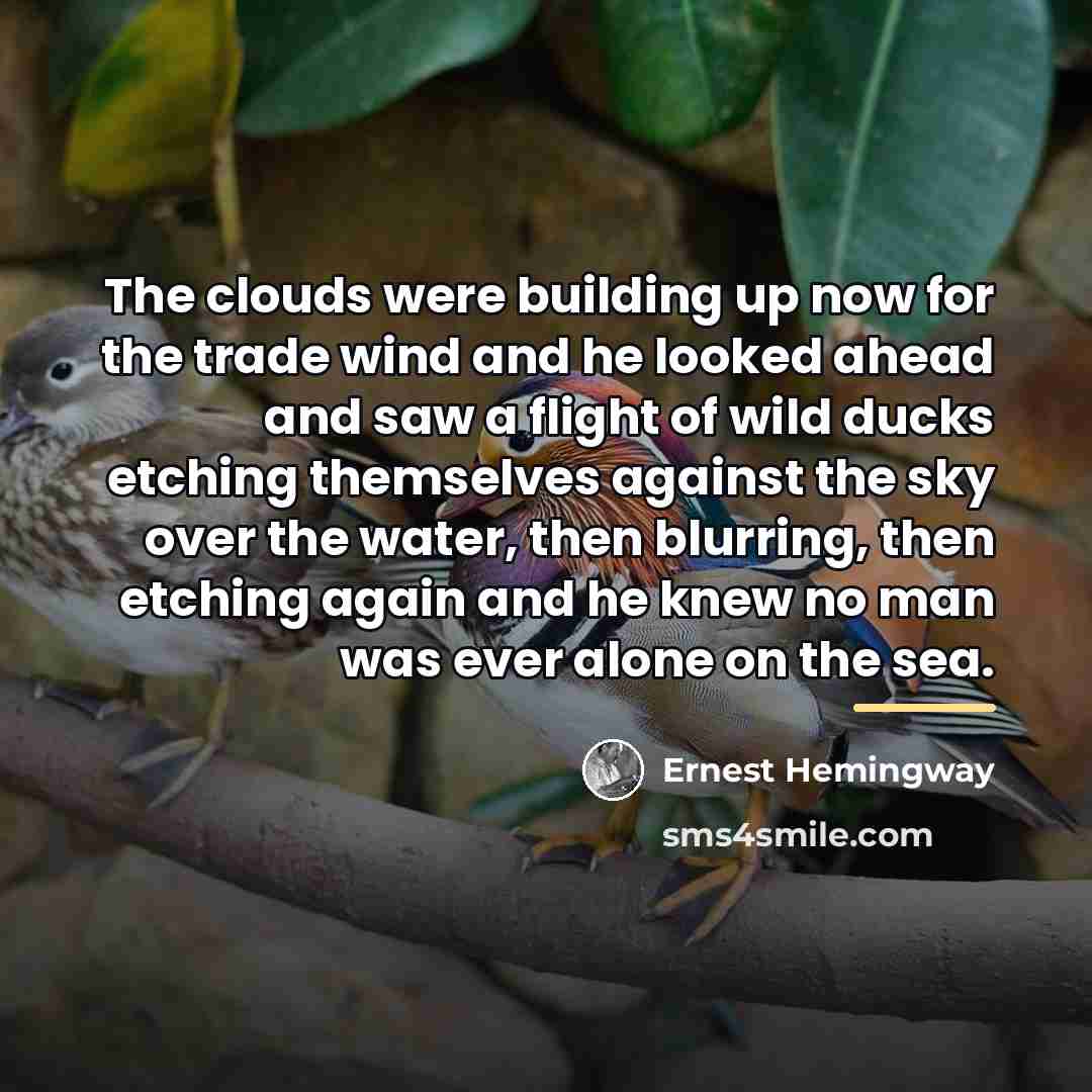 “The clouds were building up now for the trade wind…” quote by Ernest Hemingway