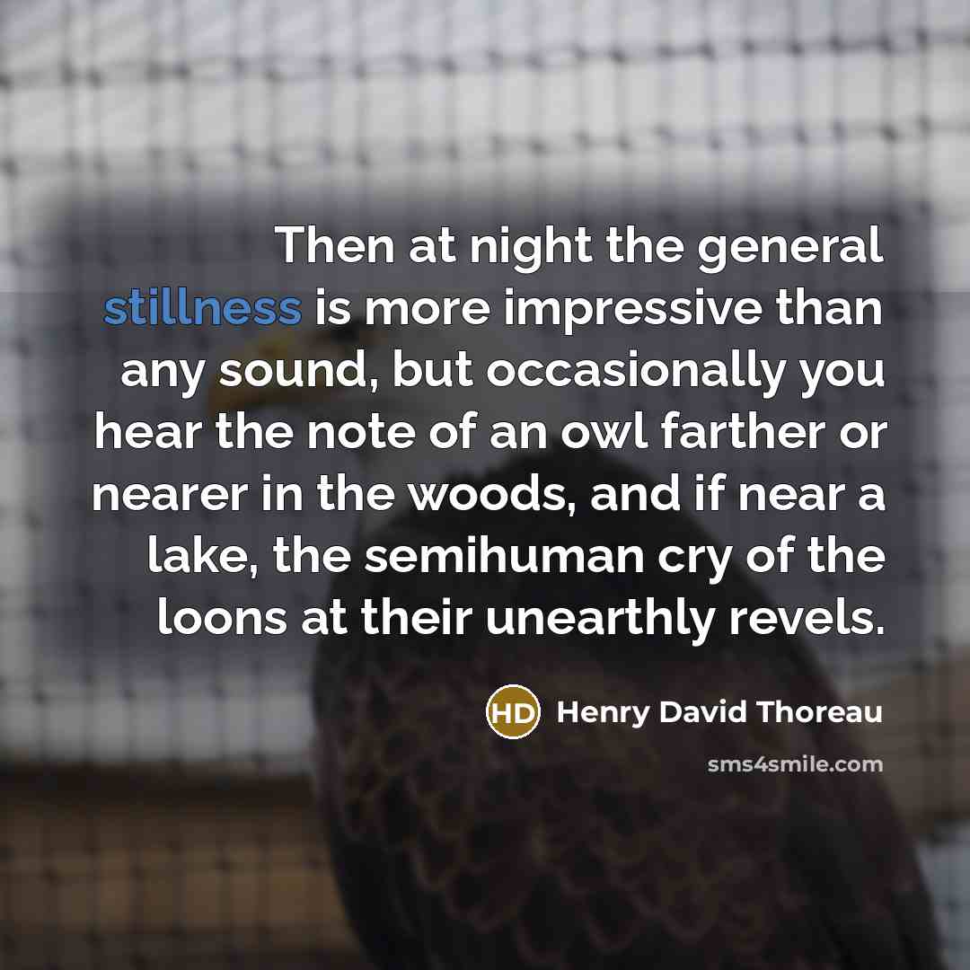 “Then at night the general stillness is more impressive than…” quote by Henry David Thoreau