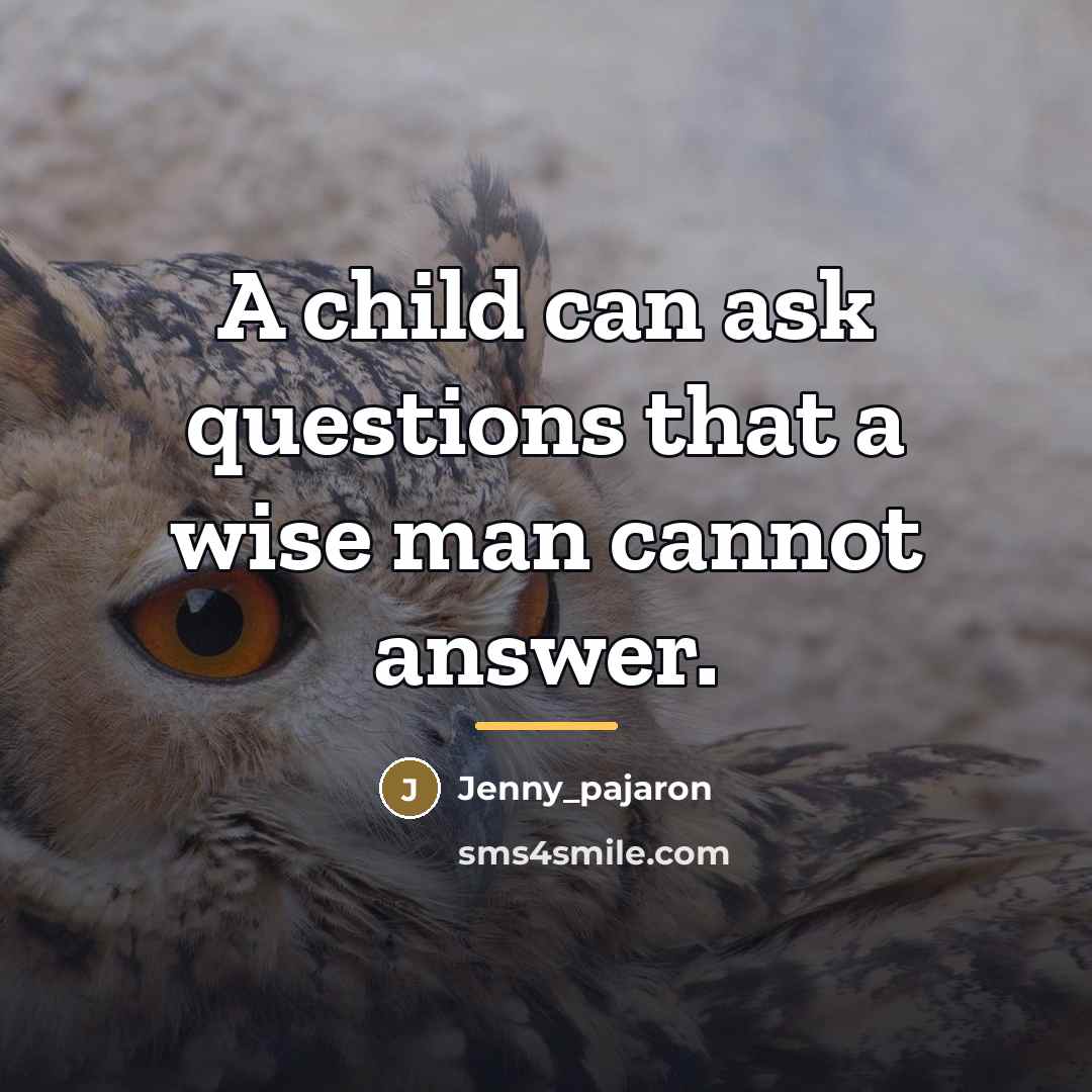 “A child can ask questions that a wise man cannot…” quote by Jenny_pajaron