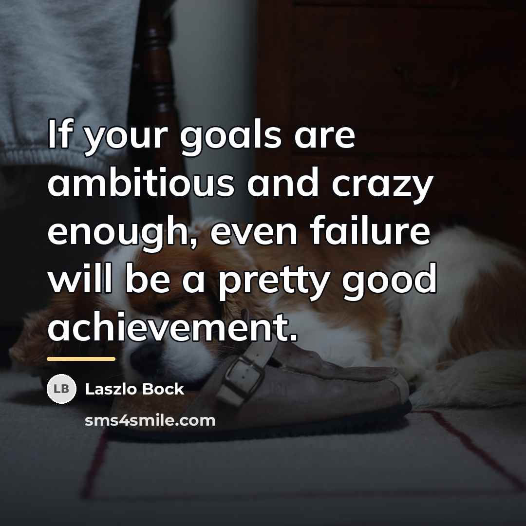 “If your goals are ambitious and crazy enough, even failure…” quote by Laszlo Bock