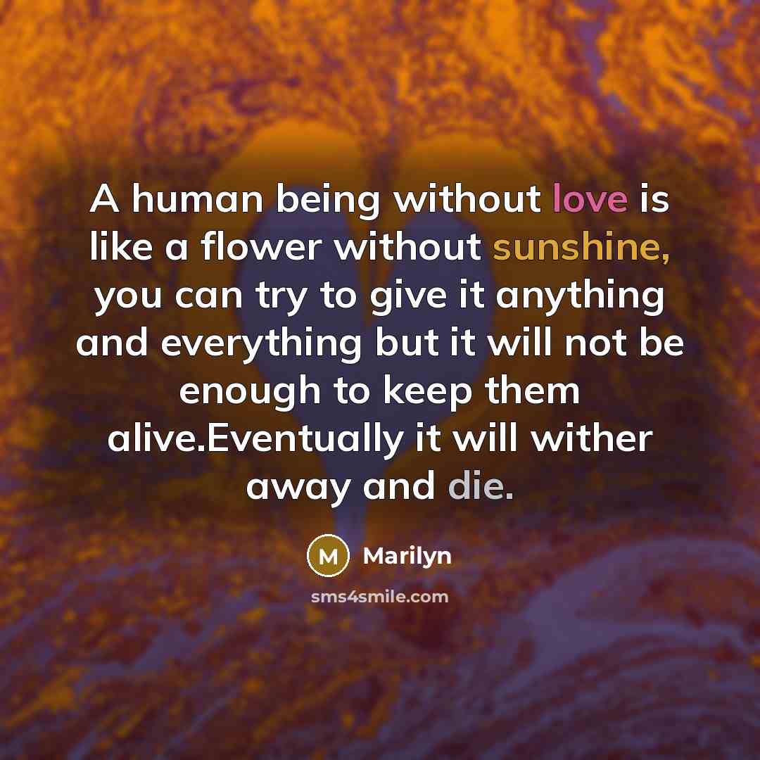“A human being without love is like a flower without sunshine, you can try to give it anything and everything but it will not be enough to keep them alive.Eventually it will wither away and die.” quote by Marilyn