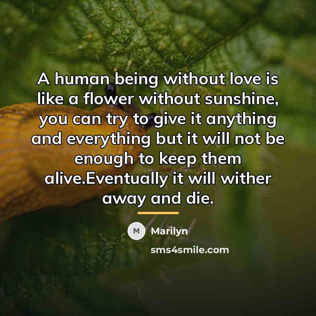 “A human being without love is like a flower without…” quote by Marilyn