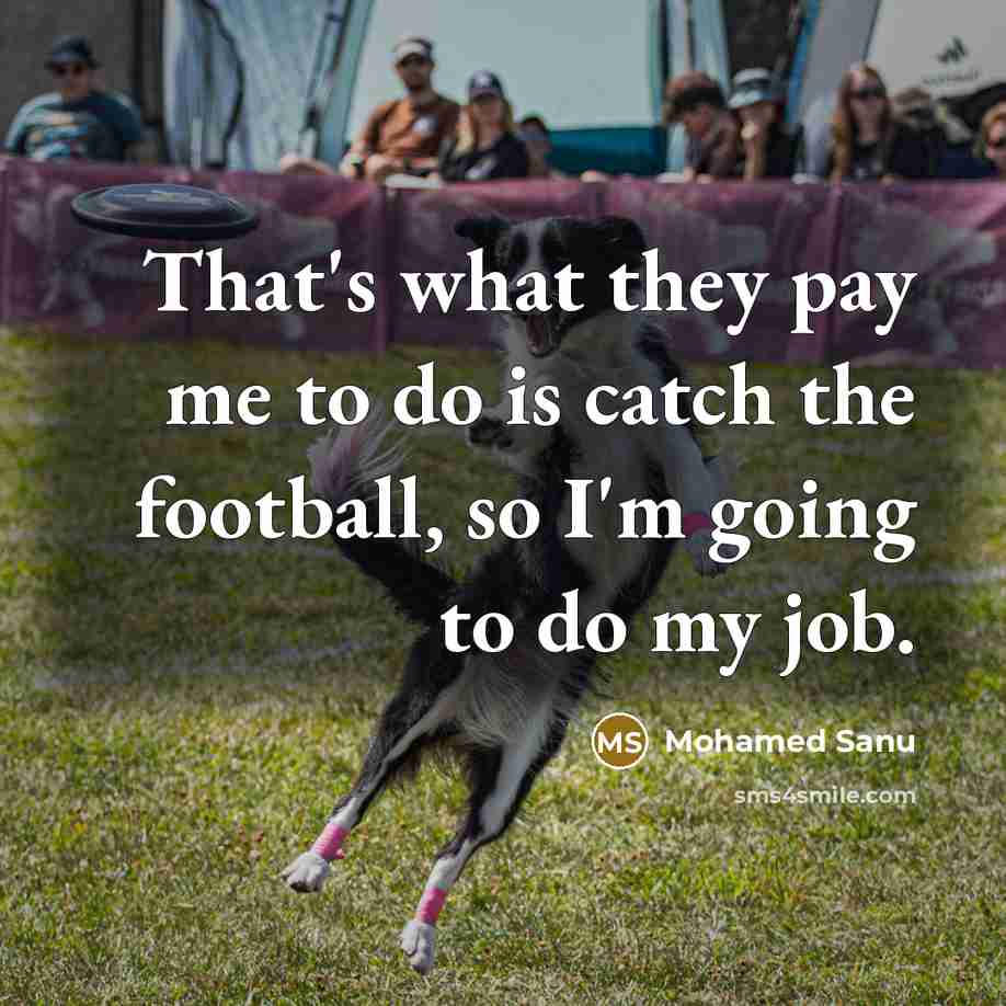“That's what they pay me to do is catch the…” quote by Mohamed Sanu