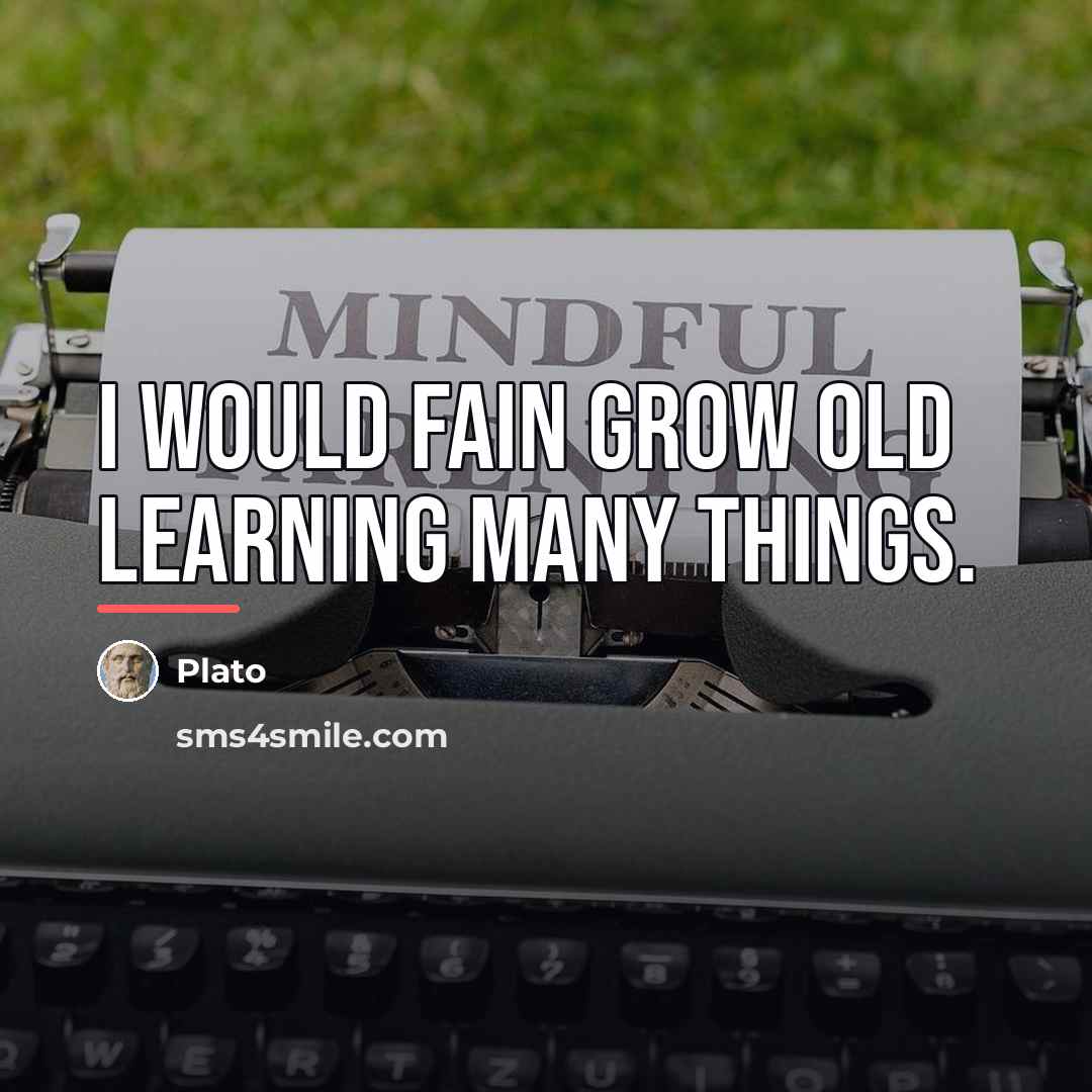 “I would fain grow old learning many things.…” quote by Plato