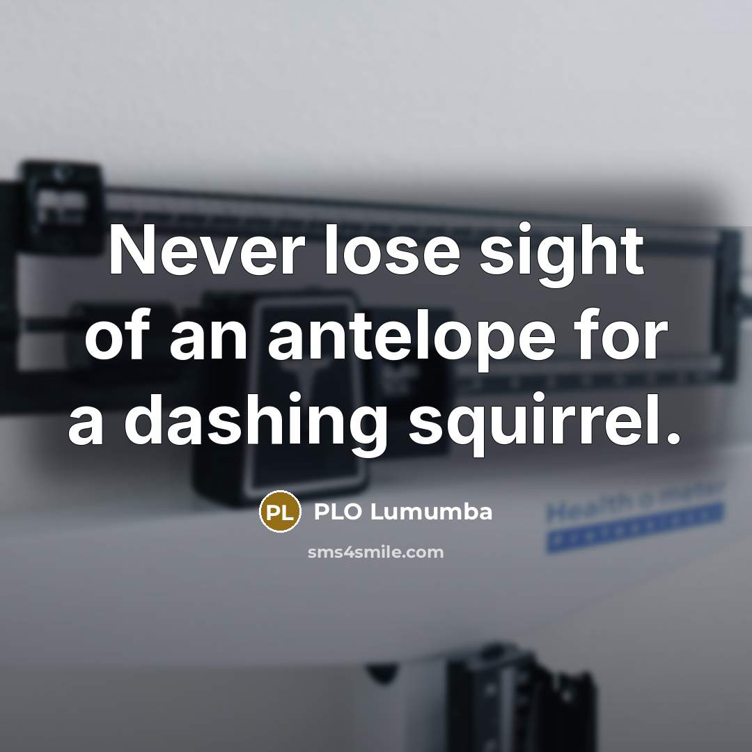 “Never lose sight of an antelope for a dashing squirrel.…” quote by PLO Lumumba