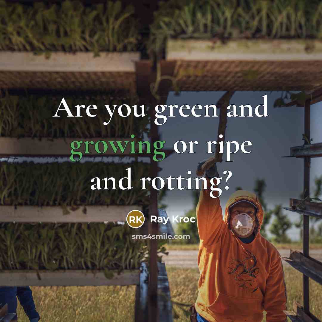 “Are you green and growing or ripe and rotting?…” quote by Ray Kroc
