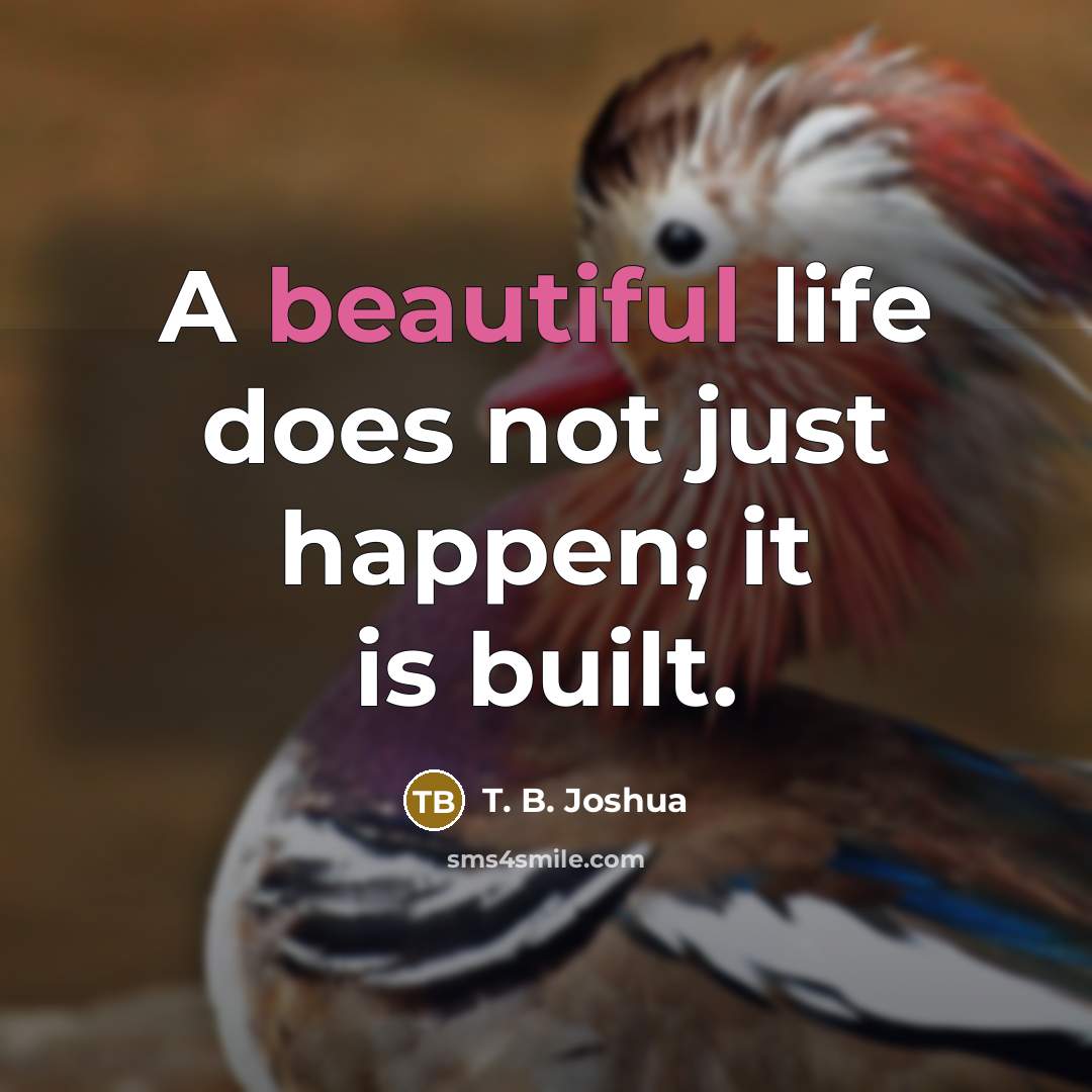 “A beautiful life does not just happen; it is built.…” quote by T. B. Joshua