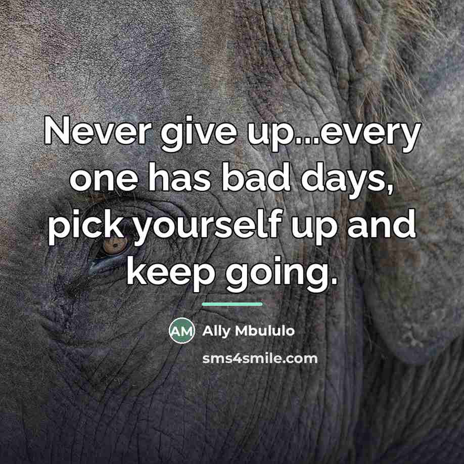 “Never give up...every one has bad days, pick yourself up…” quote by Ally Mbululo