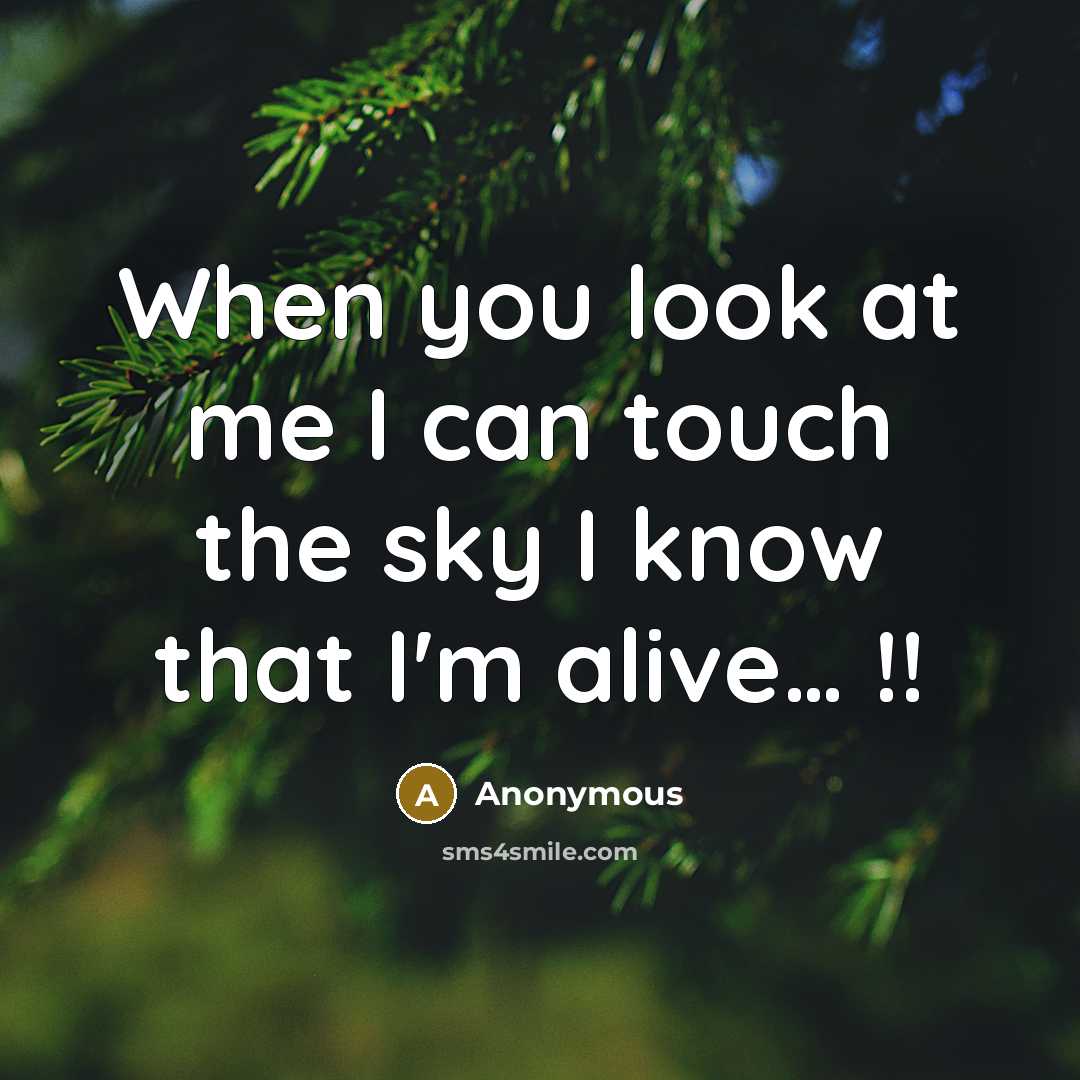 “When you look at me I can touch the sky I know that I'm alive… !!” quote by Anonymous