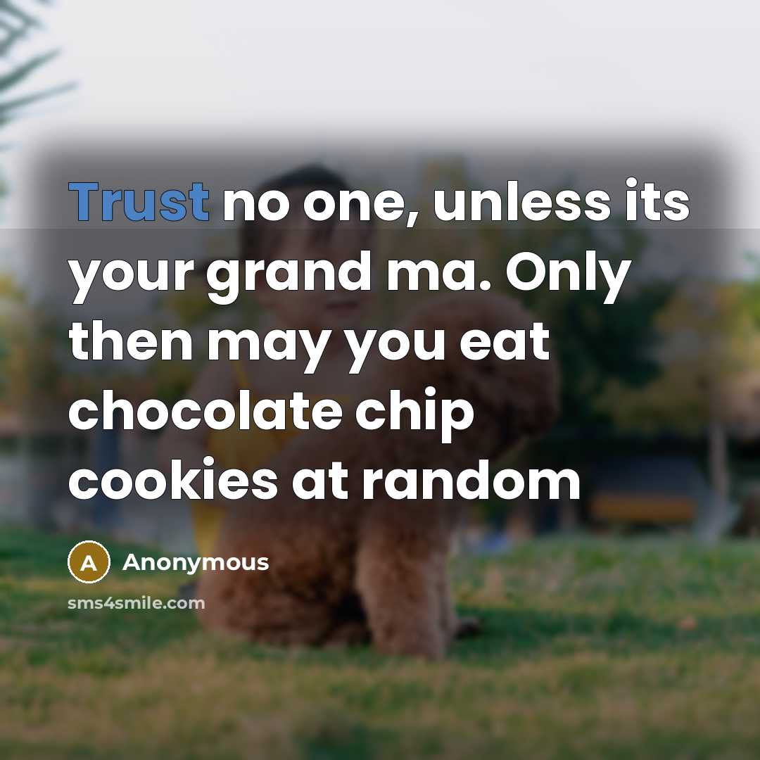 “Trust no one, unless its your grand ma. Only then…” quote by Anonymous