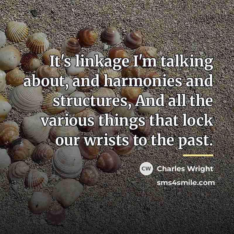 “It's linkage I'm talking about, and harmonies and structures, And…” quote by Charles Wright