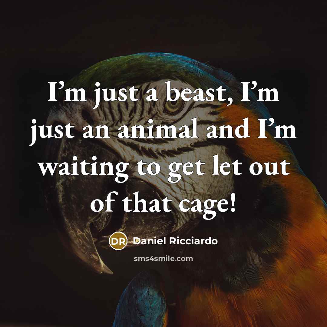 “I’m just a beast, I’m just an animal and I’m…” quote by Daniel Ricciardo
