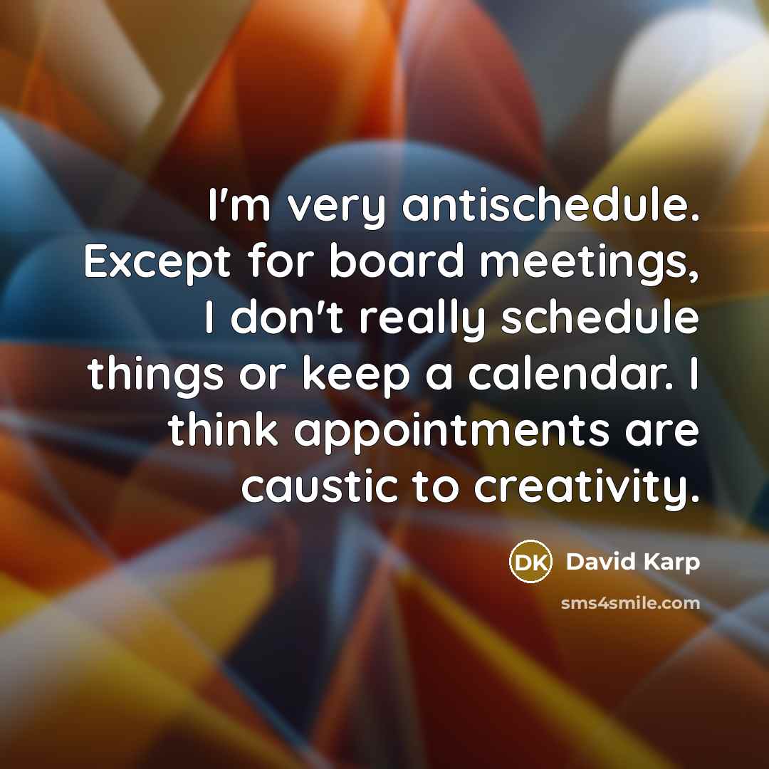 “I'm very antischedule. Except for board meetings, I don't really…” quote by David Karp
