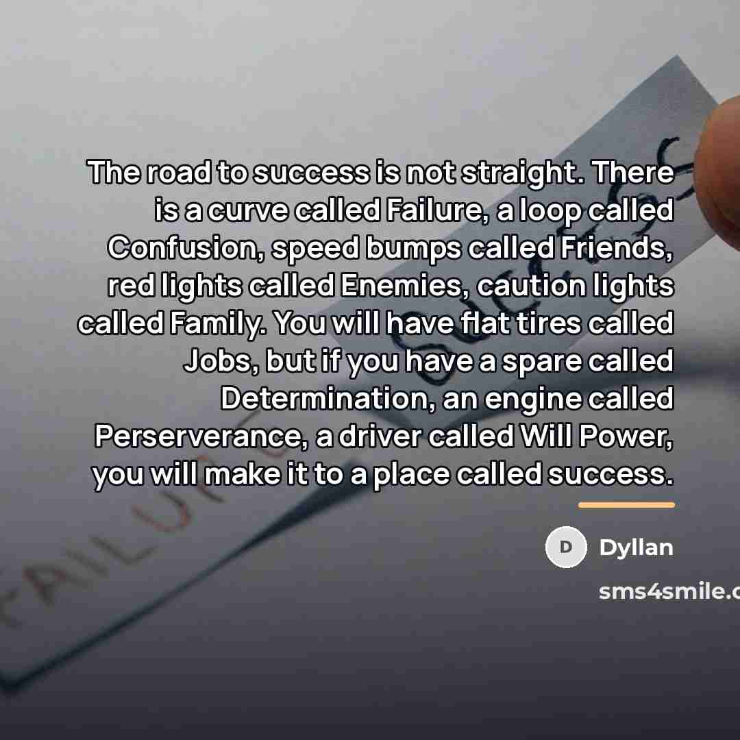 “The road to success is not straight. There is a…” quote by Dyllan