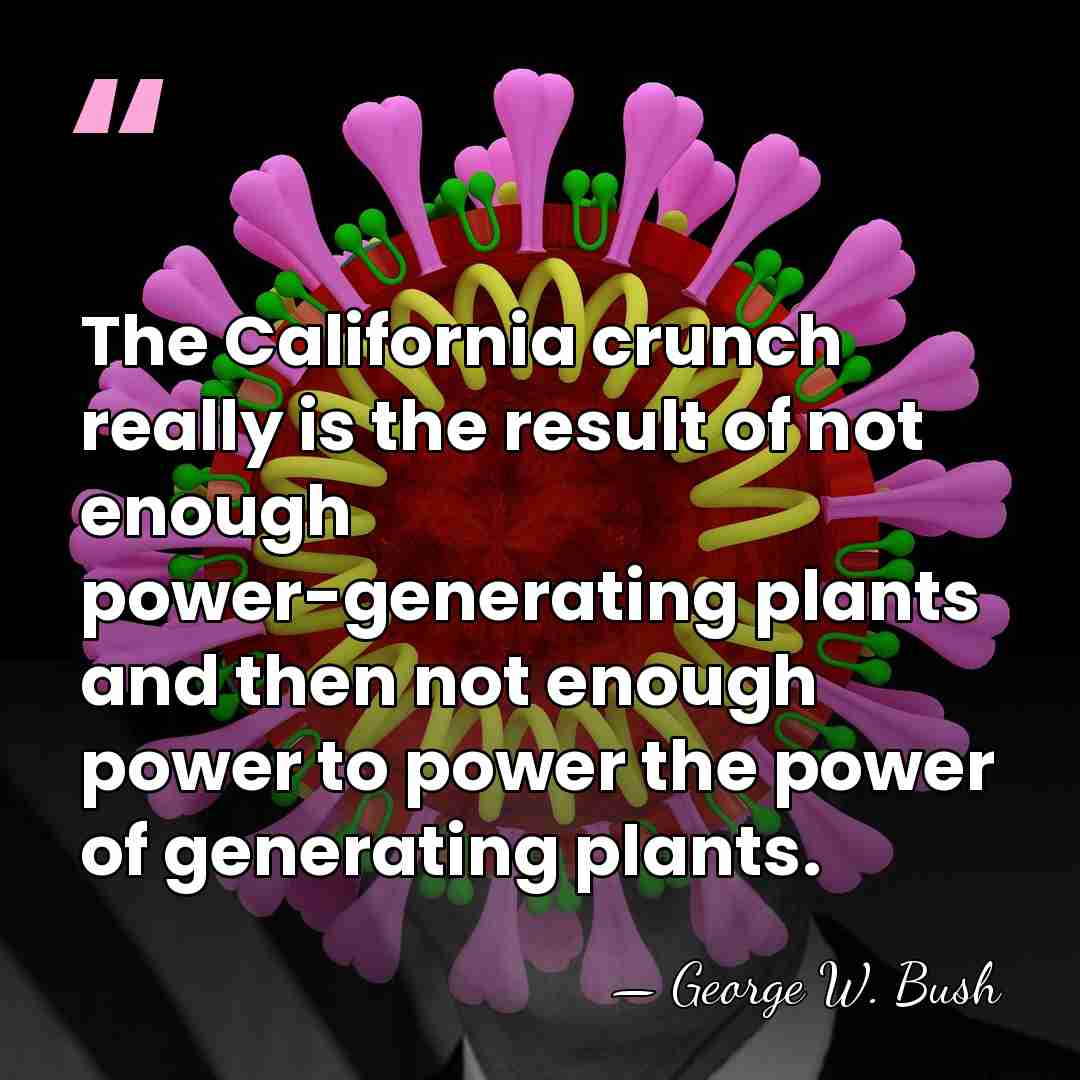 The California crunch really is the result of not enough power-generating plants&hellip; - George W. Bush