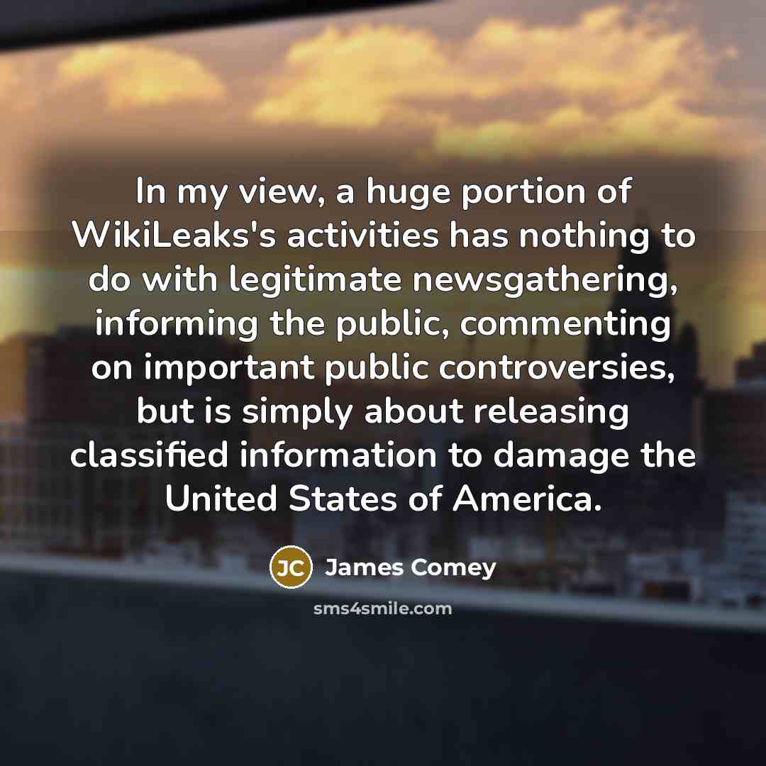 “In my view, a huge portion of WikiLeaks's activities has…” quote by James Comey