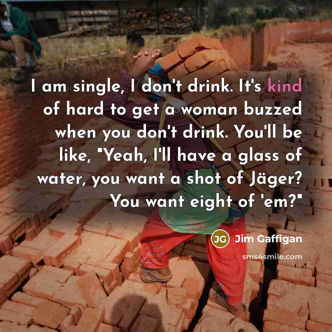 “I am single, I don't drink. It's kind of hard…” quote by Jim Gaffigan
